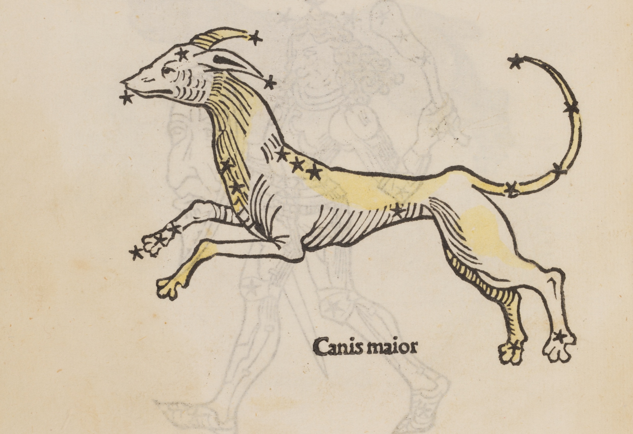 Hyginus-1485-Canis Major