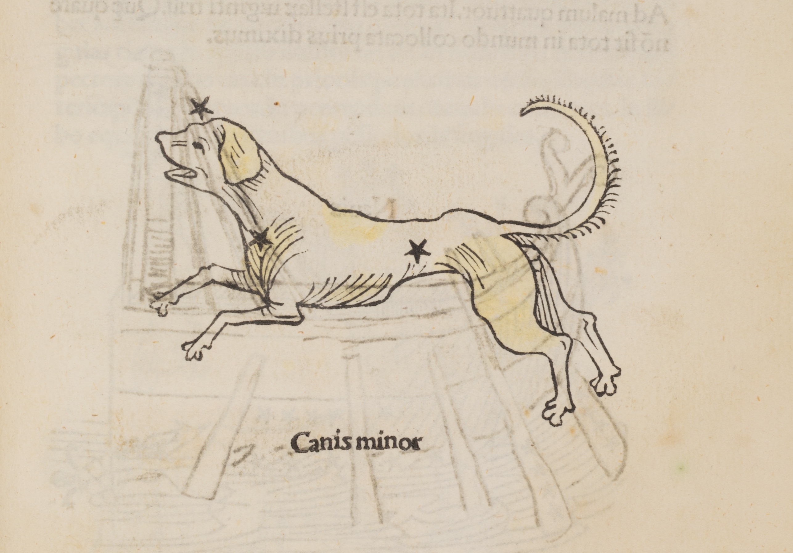 Hyginus-1485-CanisMinor