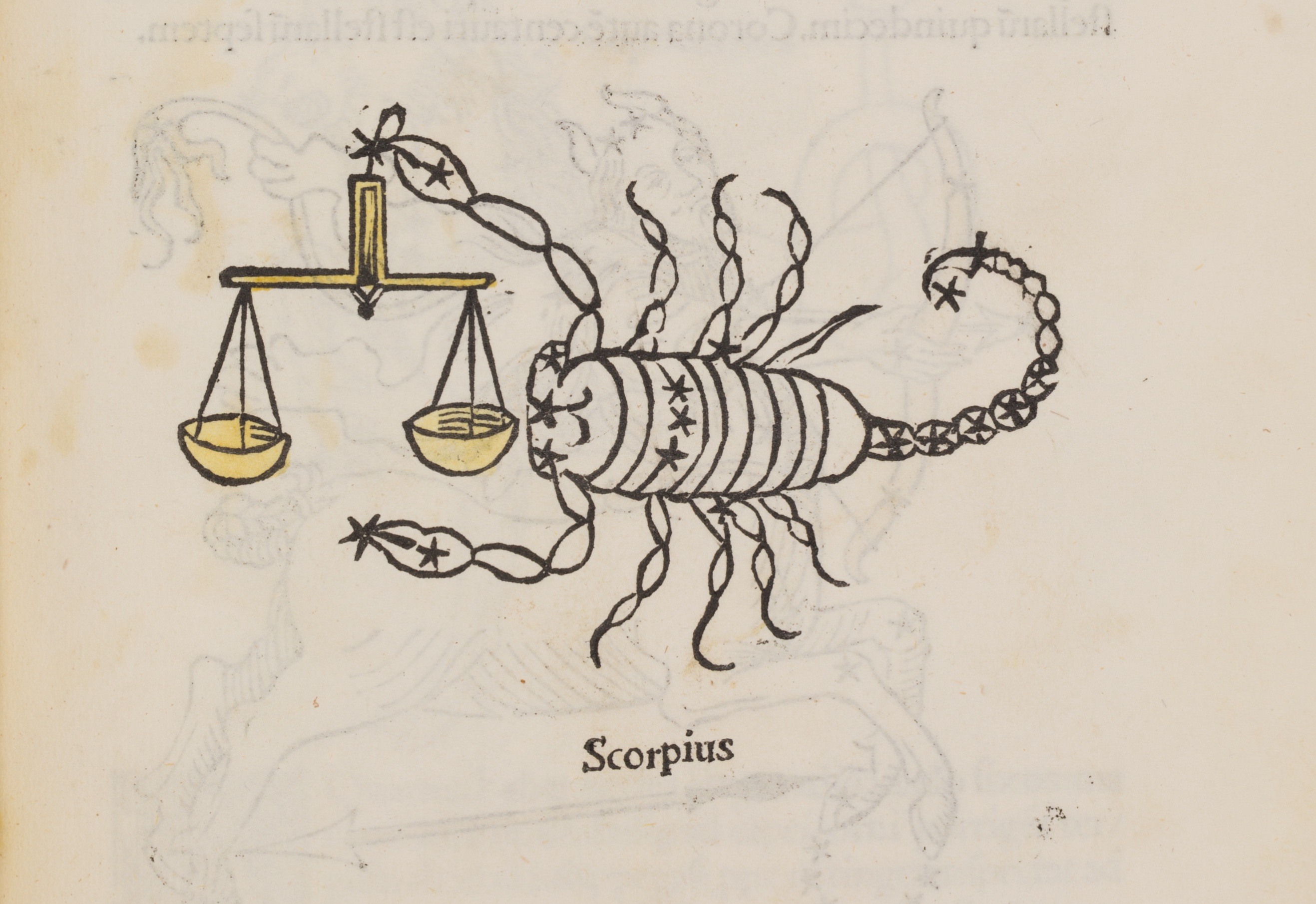 Hyginus-1485-Scorpius